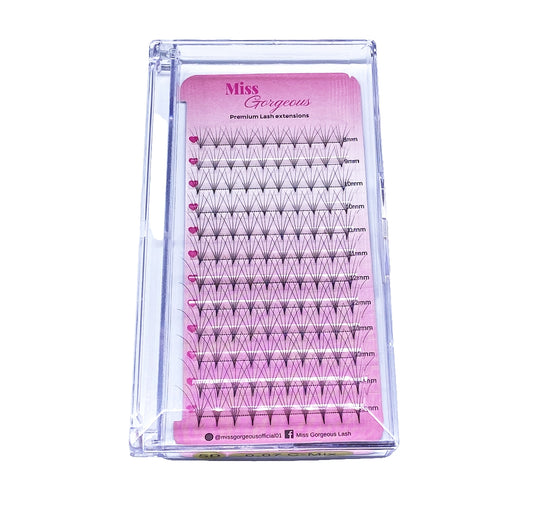12Rows Premade Fan Lash 120 Fans